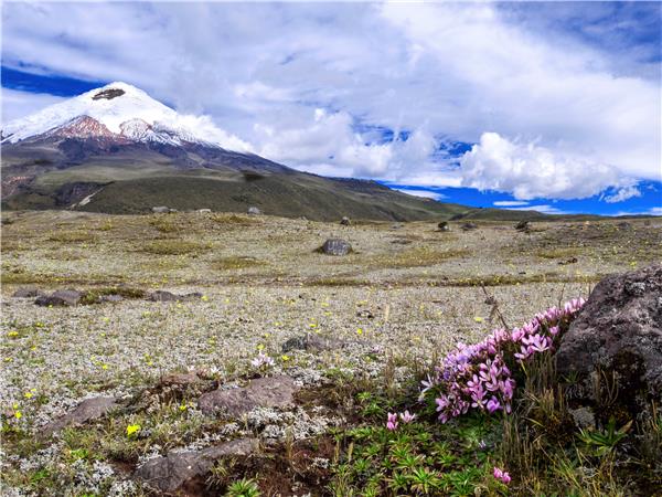 Ecuador vacations, Andes to Amazon